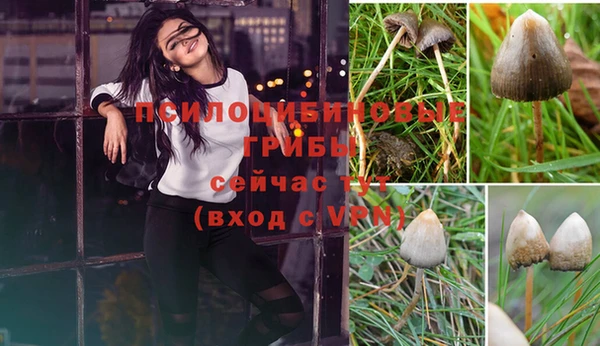 крисы Армянск