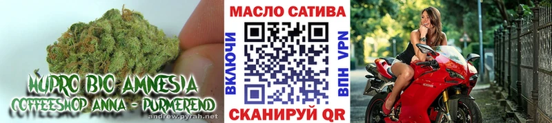 ТГК вейп Онега